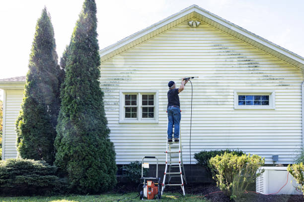 Best Soft Washing for Delicate Surfaces in Danvle, IL