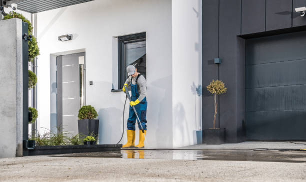 Best Roof Cleaning and Mildew Removal in Danvle, IL